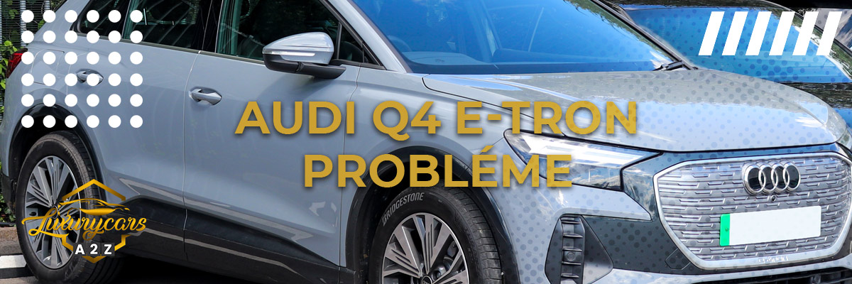 Audi Q4 e-tron Probléme