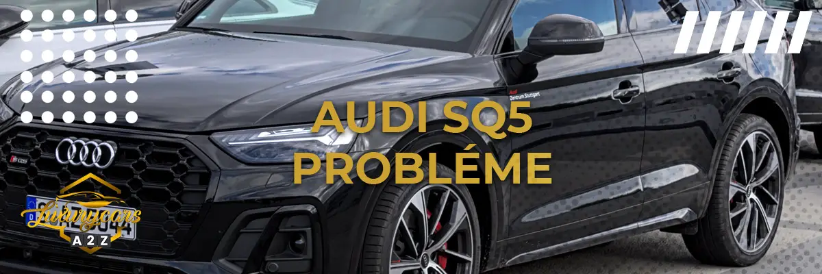 Audi SQ5 Probléme