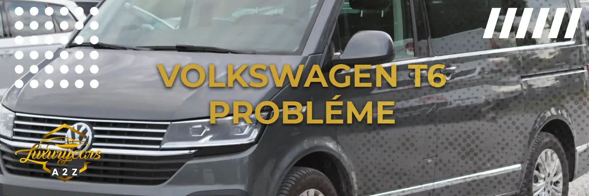 Volkswagen T6 probléme