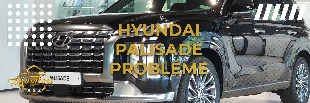Hyundai Palisade probléme